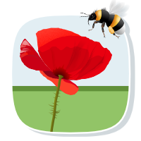 Eine Biene die auf eine Blüte zufliegt
